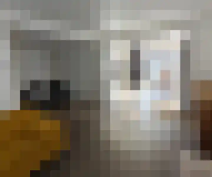Breemarsweg 219 Hengelo thumbnail 12
