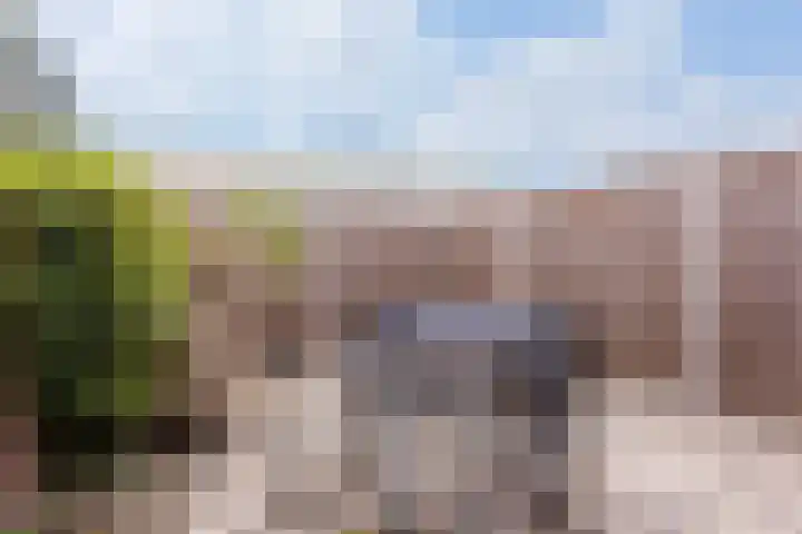 Breemarsweg 219 Hengelo thumbnail 25