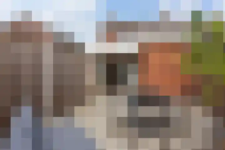 Breemarsweg 219 Hengelo thumbnail 26