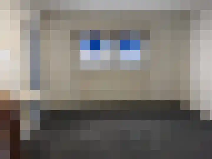 Breemarsweg 219 Hengelo thumbnail 31