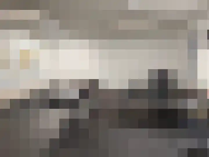 Breemarsweg 219 Hengelo thumbnail 35