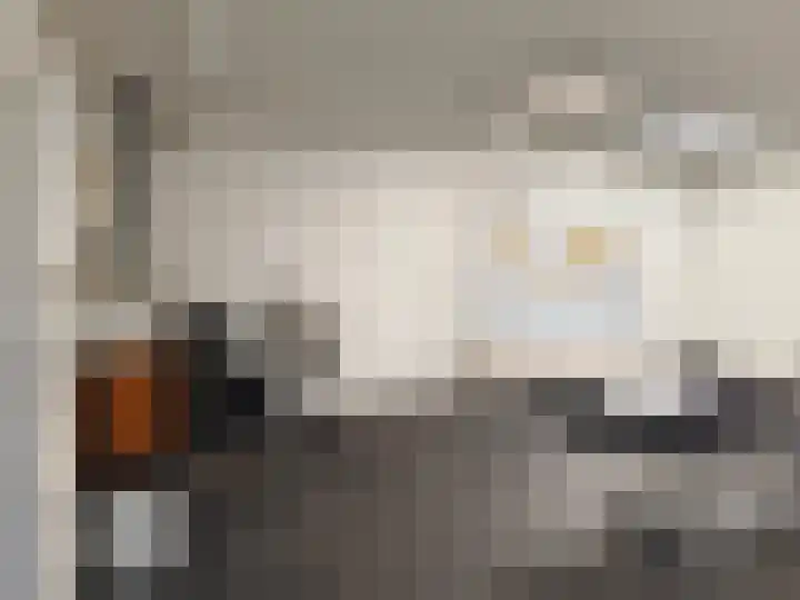 Breemarsweg 219 Hengelo thumbnail 36