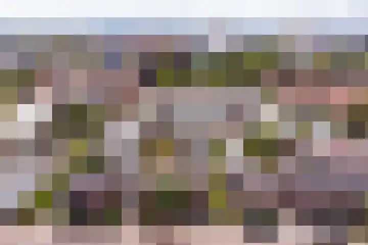 Breemarsweg 219 Hengelo thumbnail 44