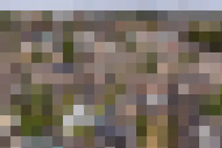 Breemarsweg 219 Hengelo thumbnail 45