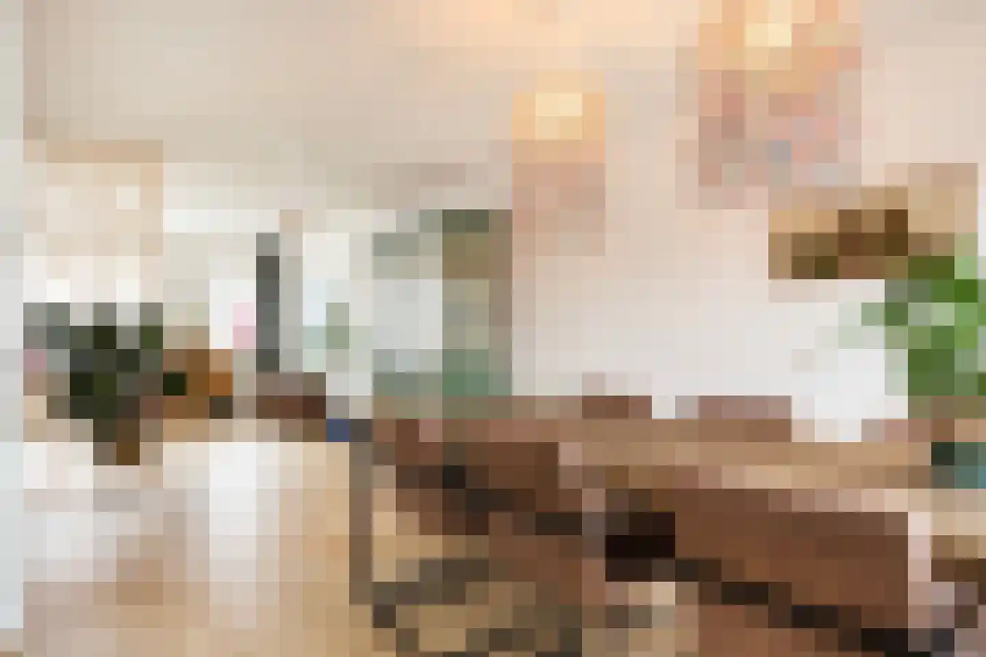 Breemarsweg 222 Hengelo thumbnail 17