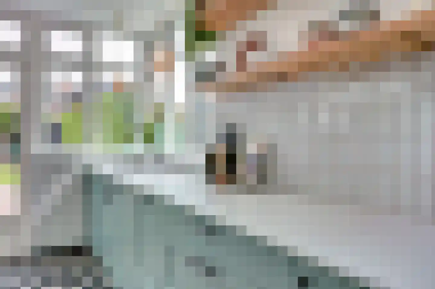 Breemarsweg 226 Hengelo thumbnail 16