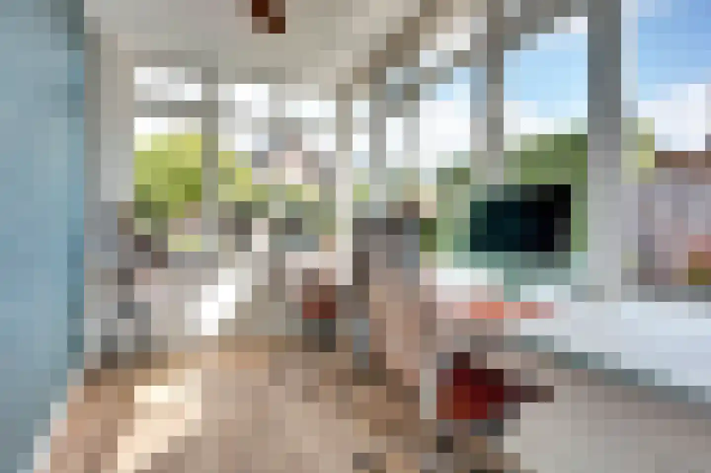 Breemarsweg 226 Hengelo thumbnail 20