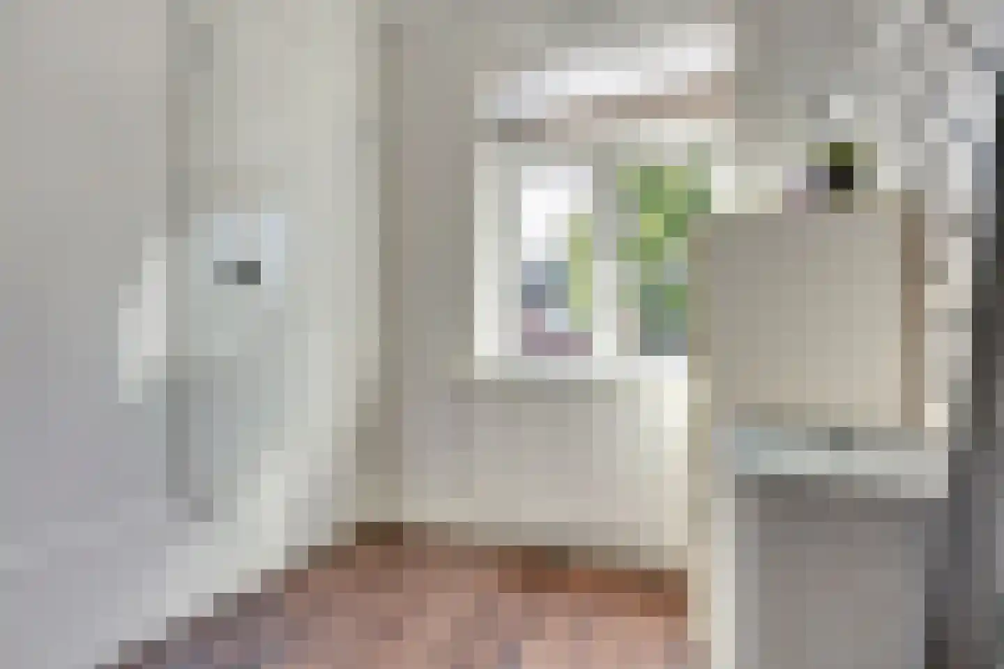 Breemarsweg 226 Hengelo thumbnail 25