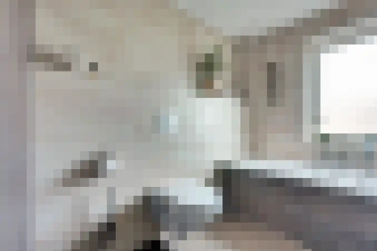 Breemarsweg 226 Hengelo thumbnail 31