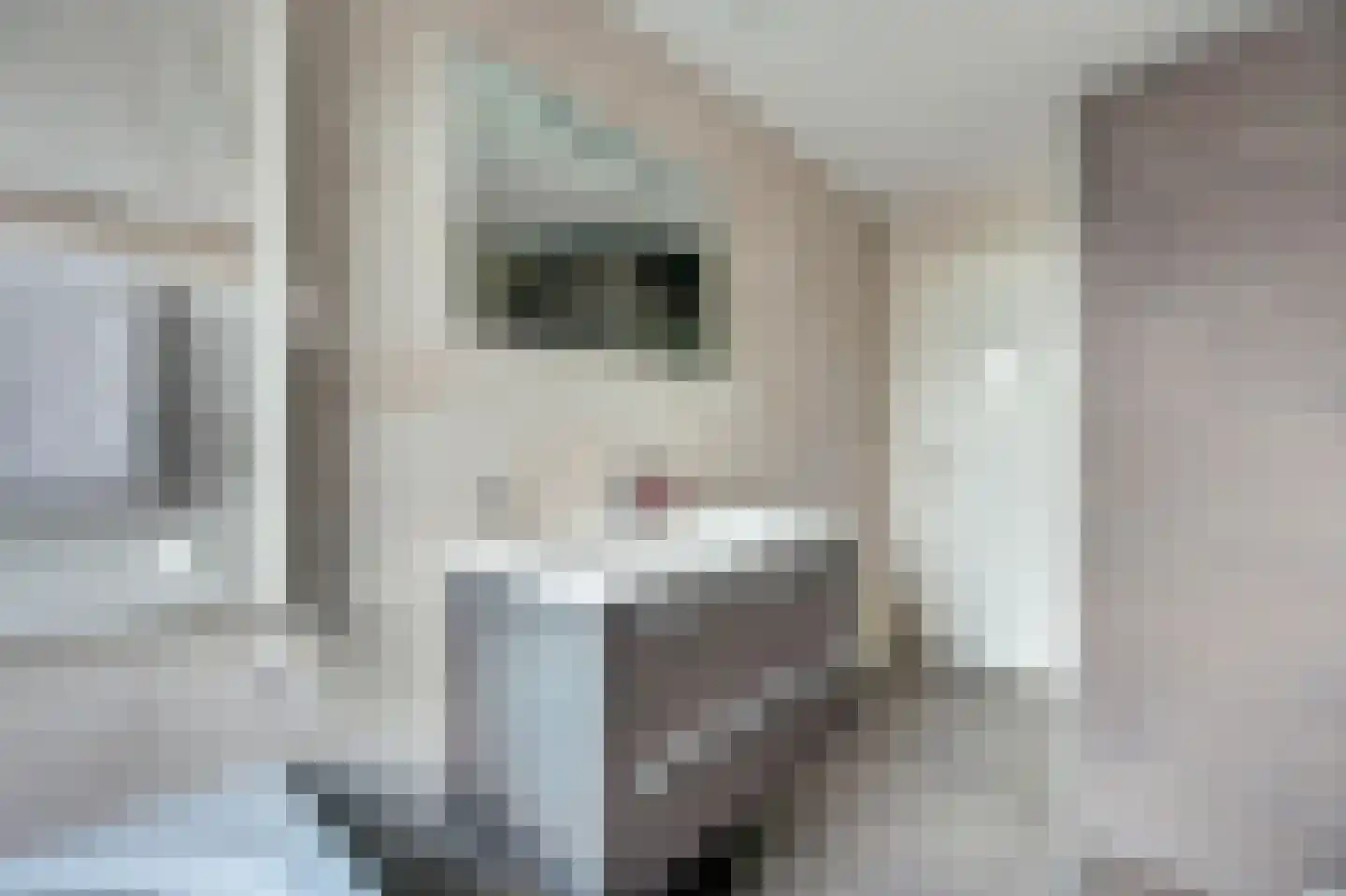 Breemarsweg 226 Hengelo thumbnail 33