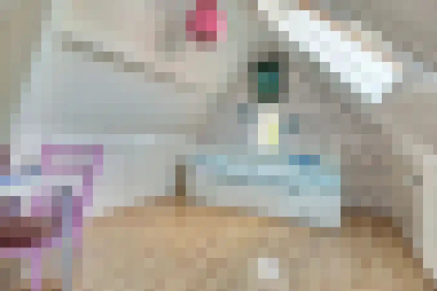 Breemarsweg 226 Hengelo thumbnail 36