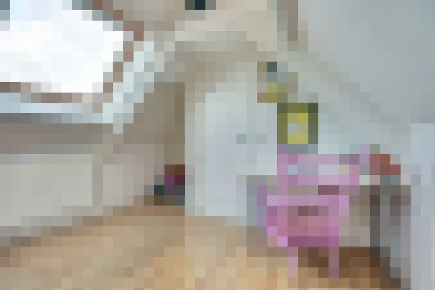 Breemarsweg 226 Hengelo thumbnail 37