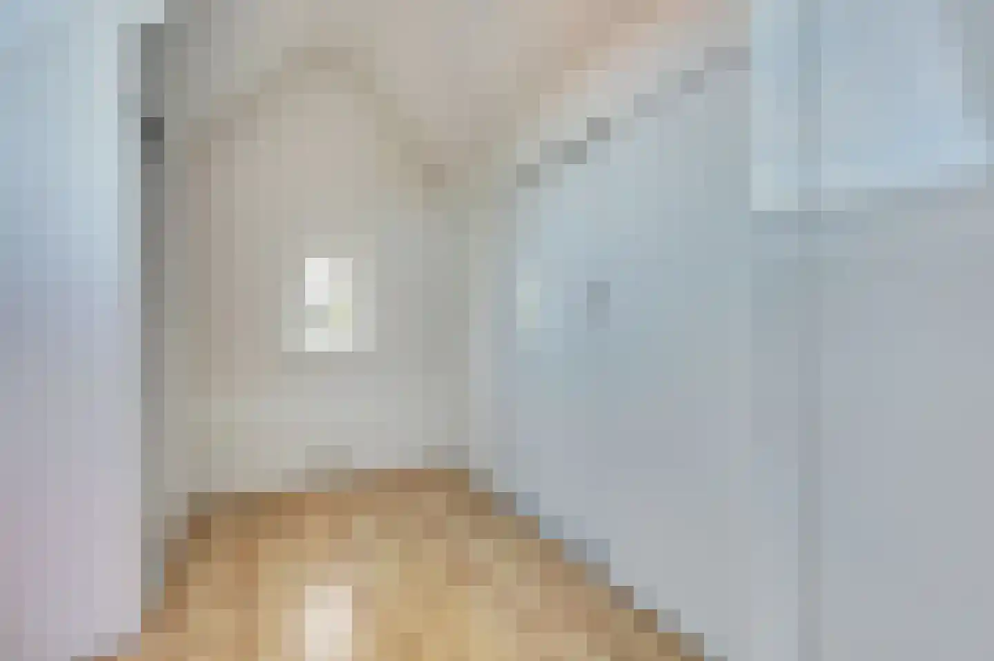 Breemarsweg 226 Hengelo thumbnail 38