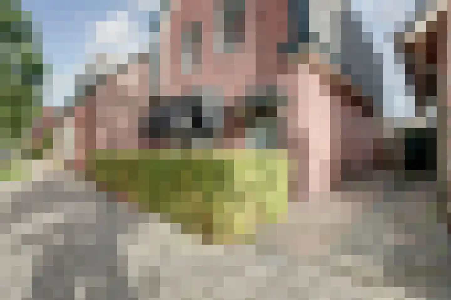 Breemarsweg 226 Hengelo thumbnail 4