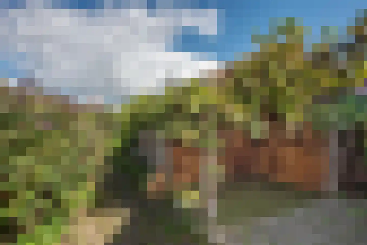 Breemarsweg 228 Hengelo thumbnail 25