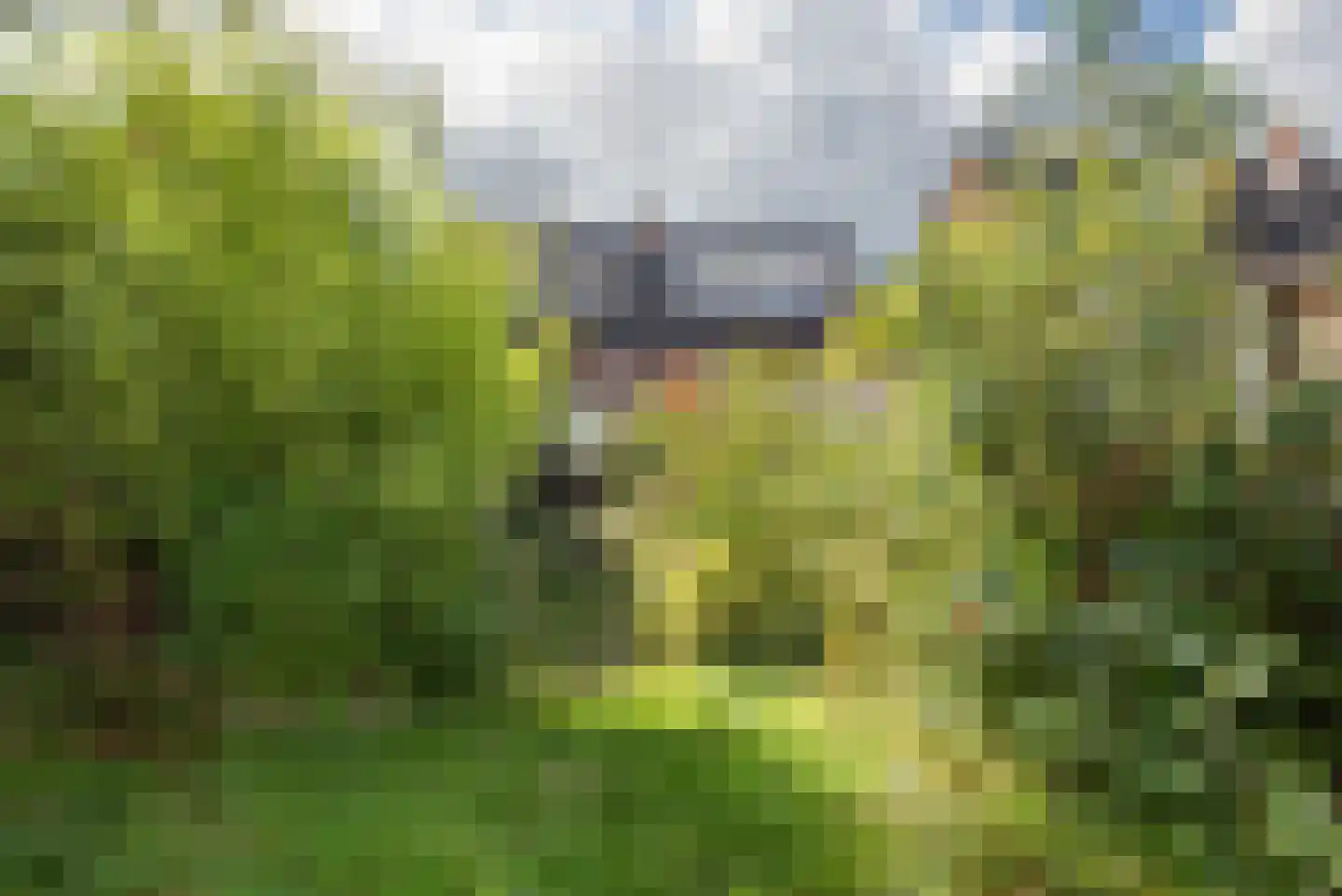 Breemarsweg 228 Hengelo thumbnail 27