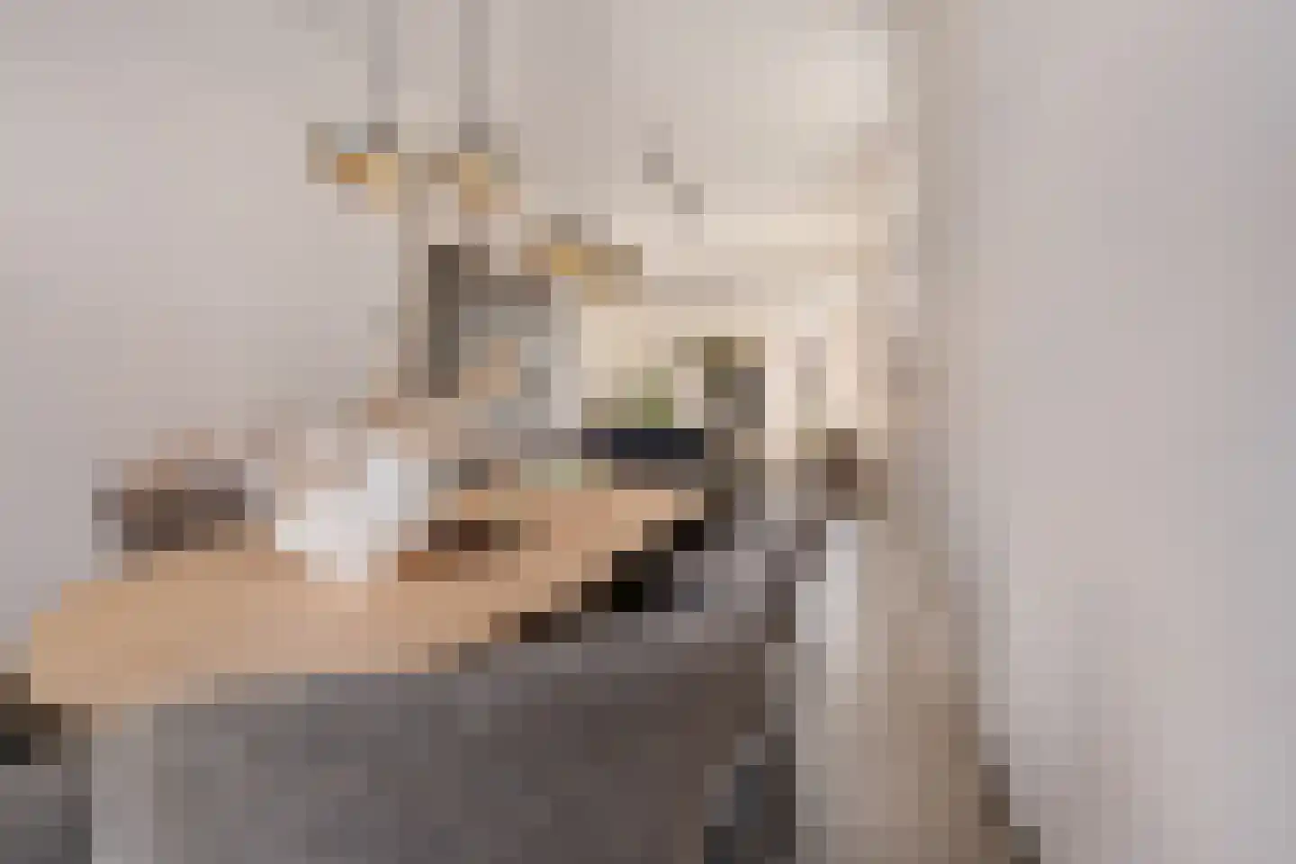 Breemarsweg 239 Hengelo thumbnail 10
