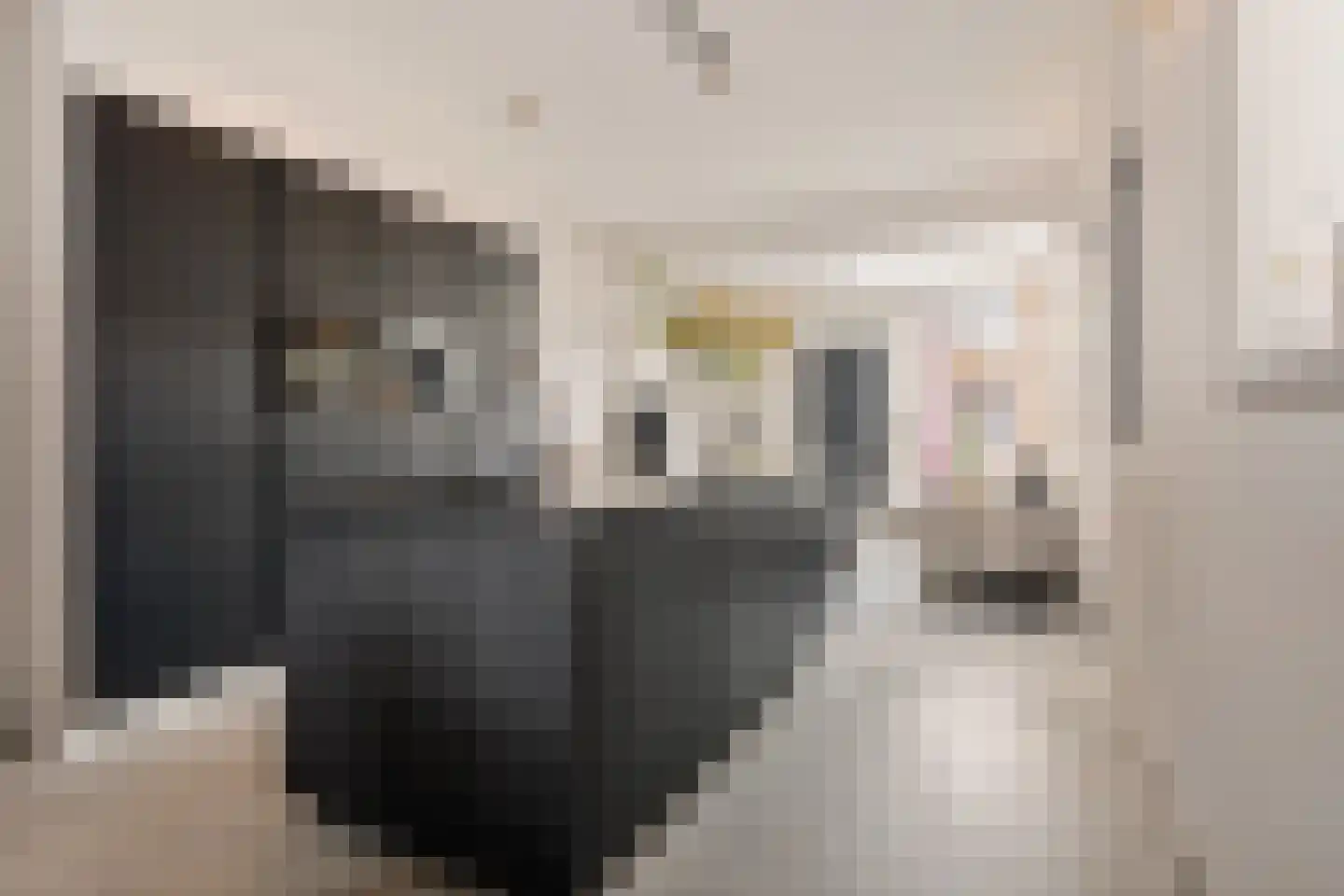 Breemarsweg 239 Hengelo thumbnail 12