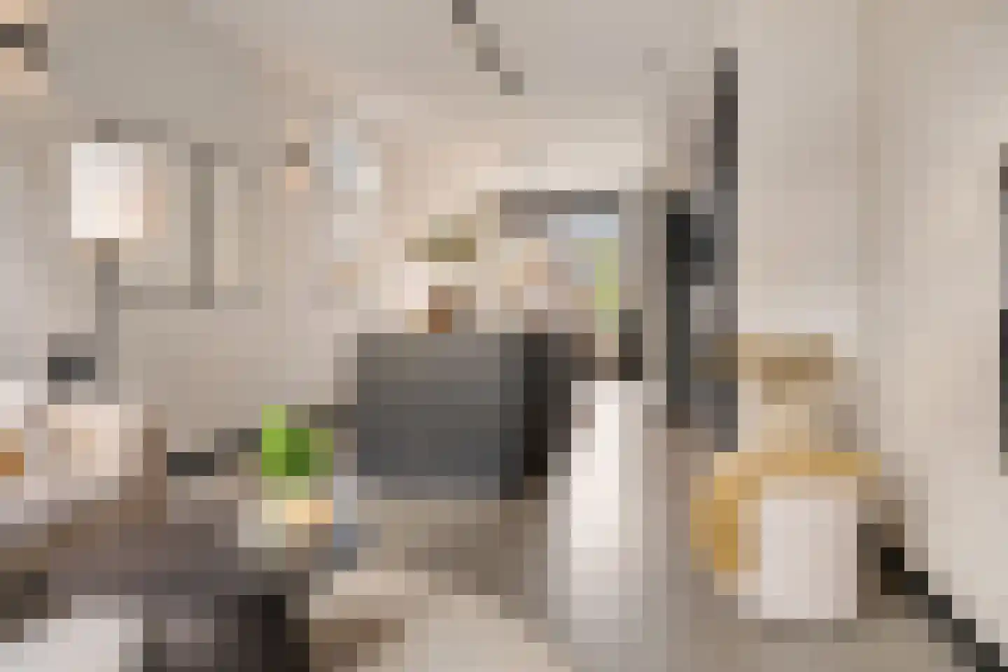 Breemarsweg 239 Hengelo thumbnail 20