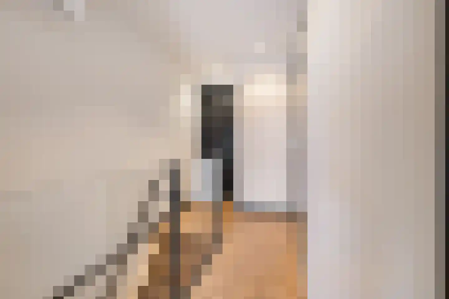 Breemarsweg 239 Hengelo thumbnail 31