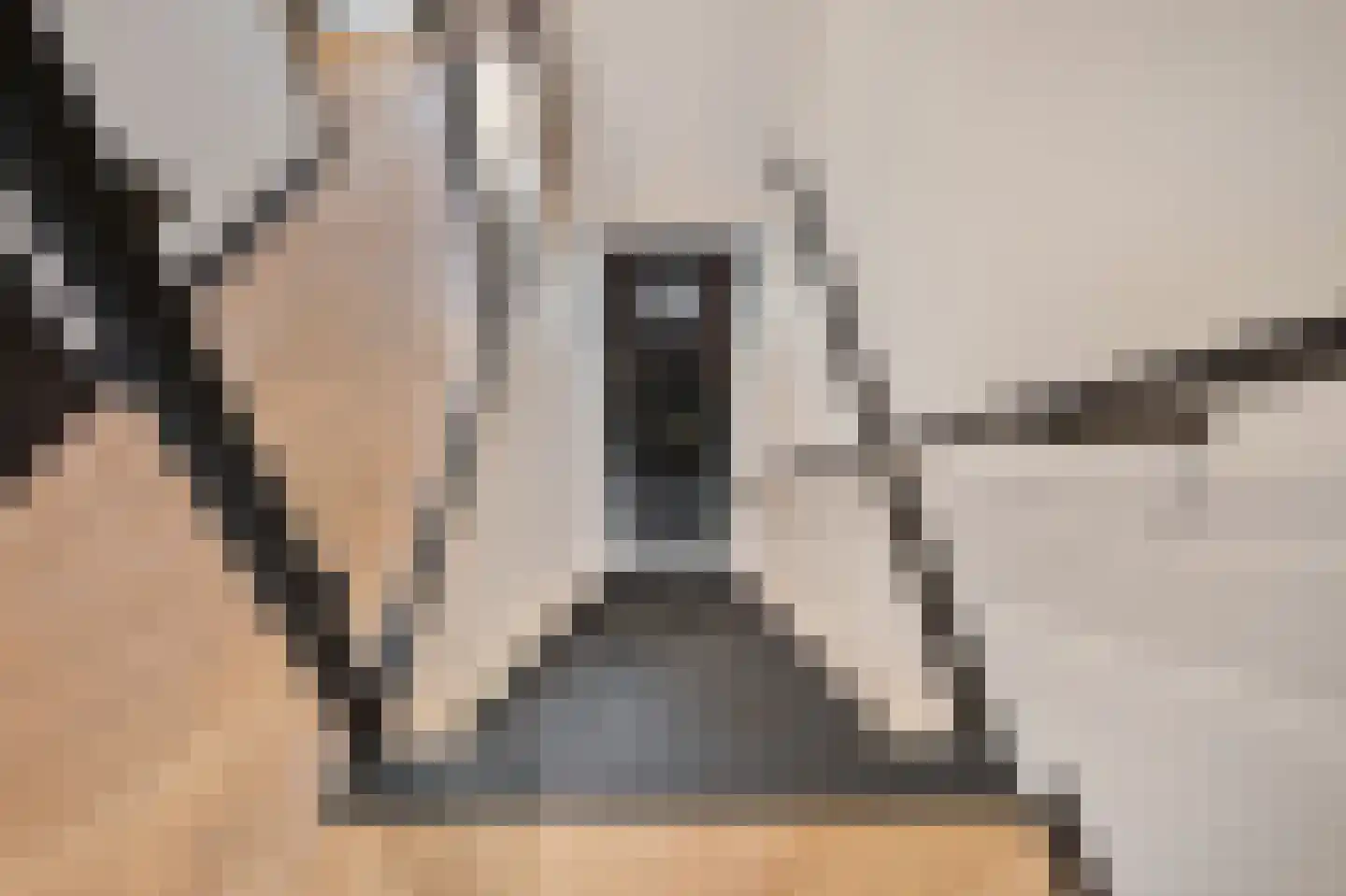 Breemarsweg 239 Hengelo thumbnail 32