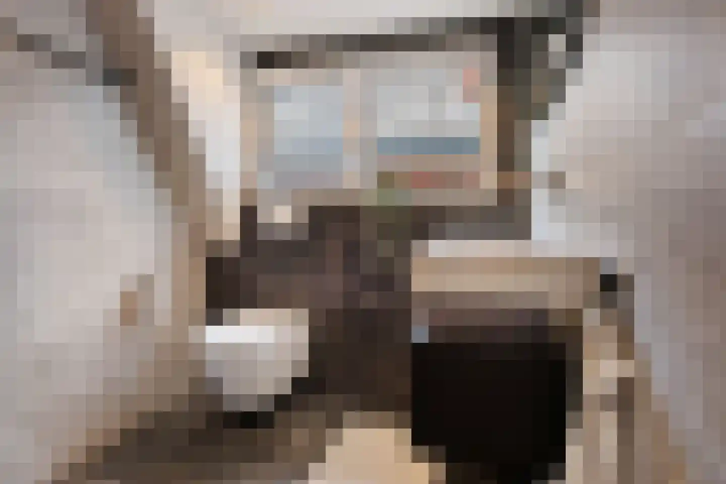 Breemarsweg 239 Hengelo thumbnail 38