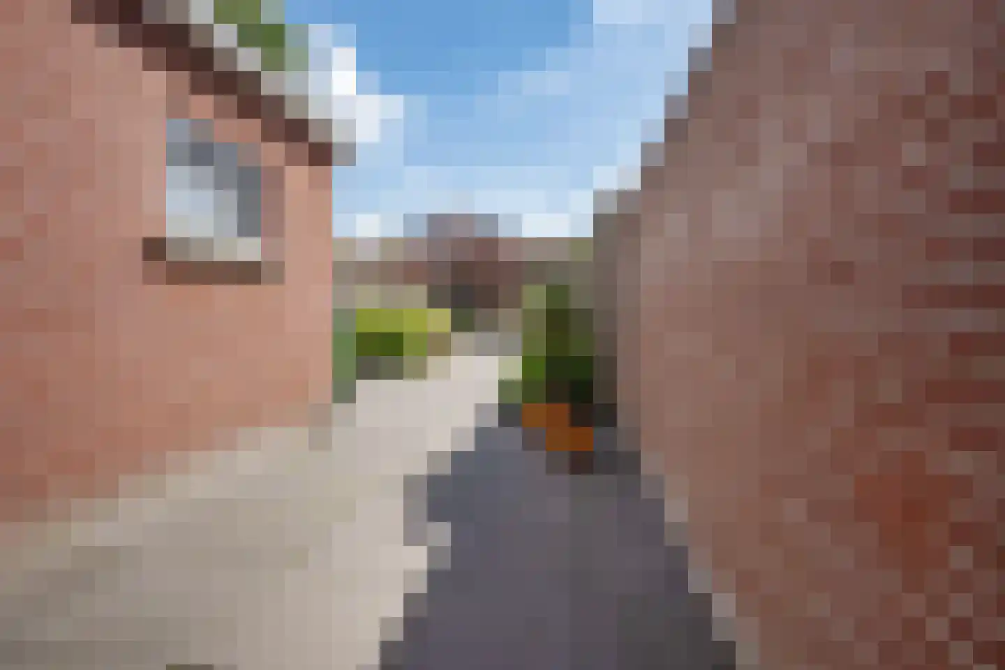 Breemarsweg 239 Hengelo thumbnail 41