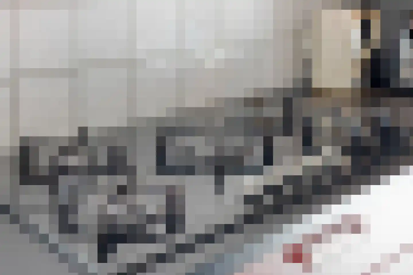 Breemarsweg 259 Hengelo thumbnail 17