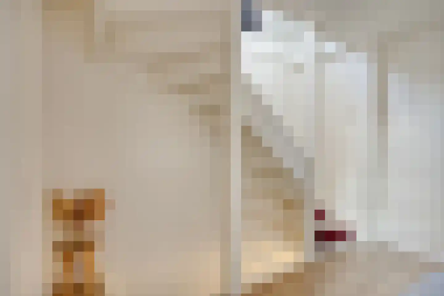 Breemarsweg 259 Hengelo thumbnail 19