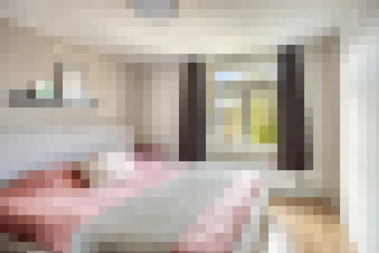 Breemarsweg 259 Hengelo thumbnail 20