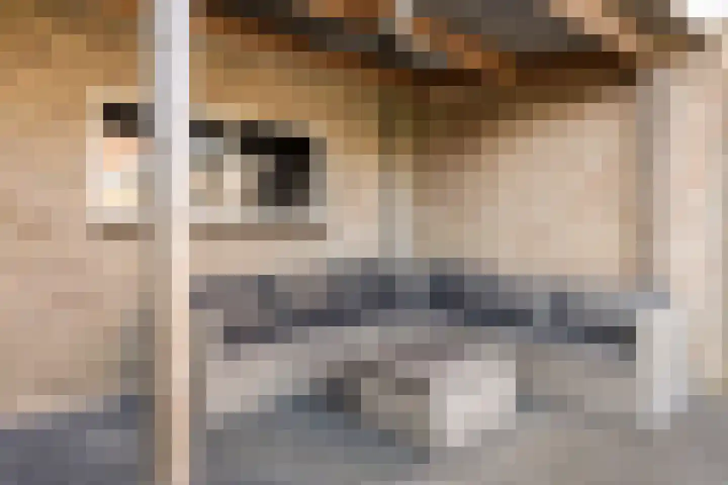 Breemarsweg 259 Hengelo thumbnail 31