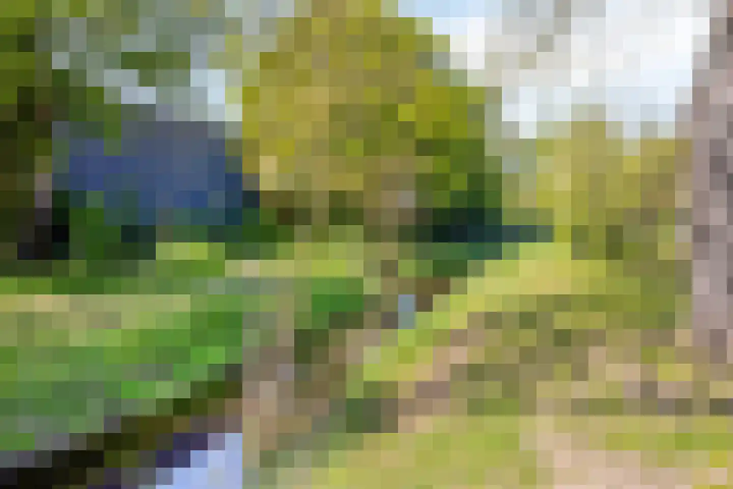 Breemarsweg 259 Hengelo thumbnail 34