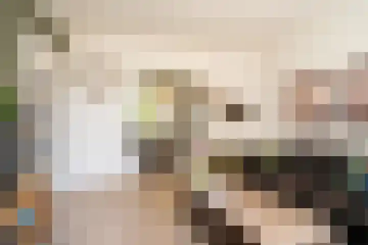 Breemarsweg 307 Hengelo thumbnail 11