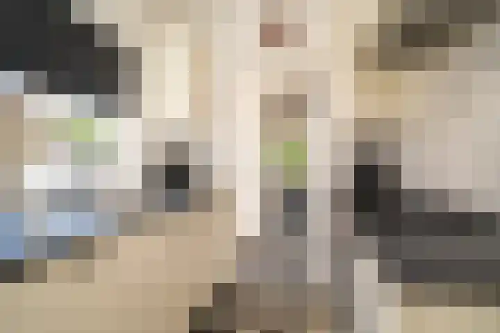 Breemarsweg 307 Hengelo thumbnail 13