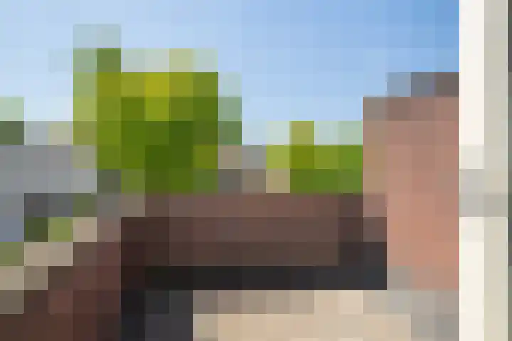 Breemarsweg 307 Hengelo thumbnail 25