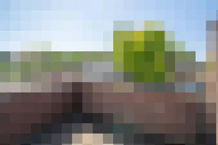 Breemarsweg 307 Hengelo thumbnail 26
