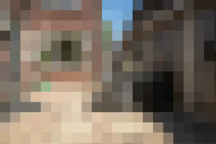 Breemarsweg 307 Hengelo thumbnail 28
