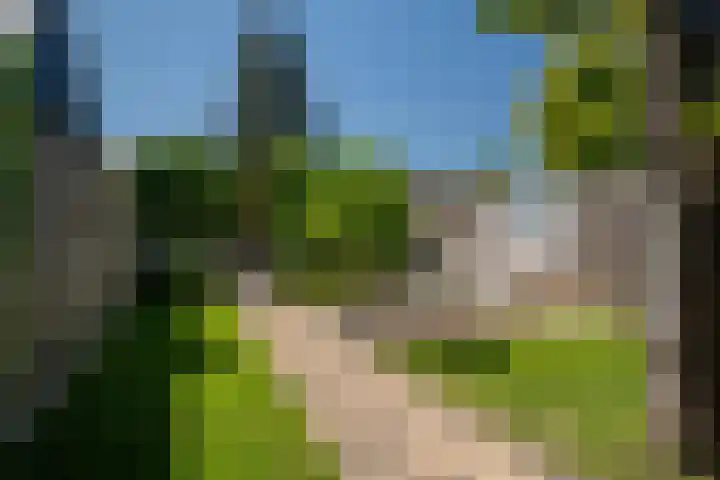 Breemarsweg 307 Hengelo thumbnail 29