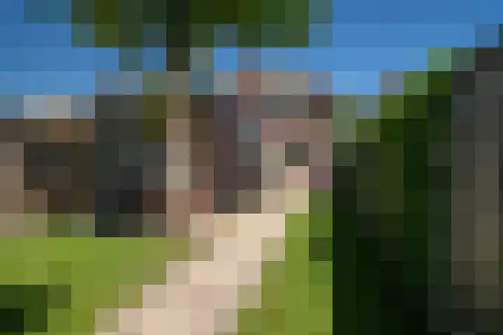 Breemarsweg 307 Hengelo thumbnail 30