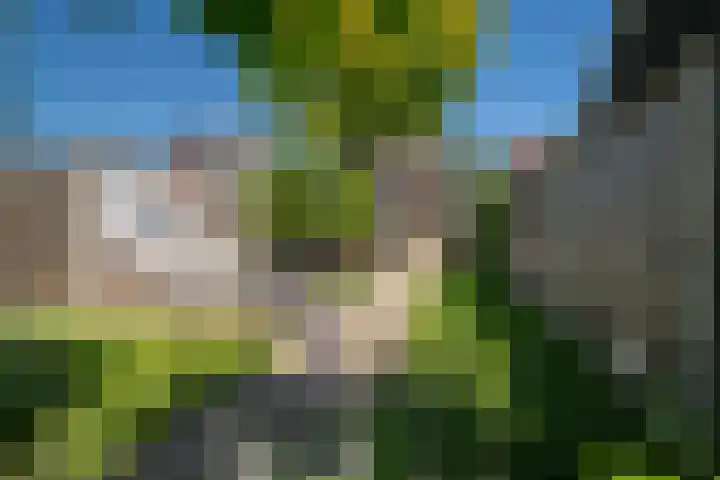 Breemarsweg 307 Hengelo thumbnail 32