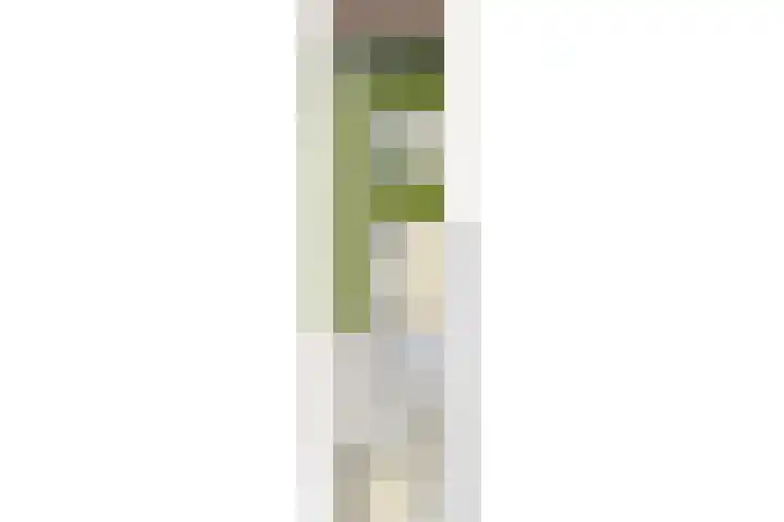Breemarsweg 307 Hengelo thumbnail 37