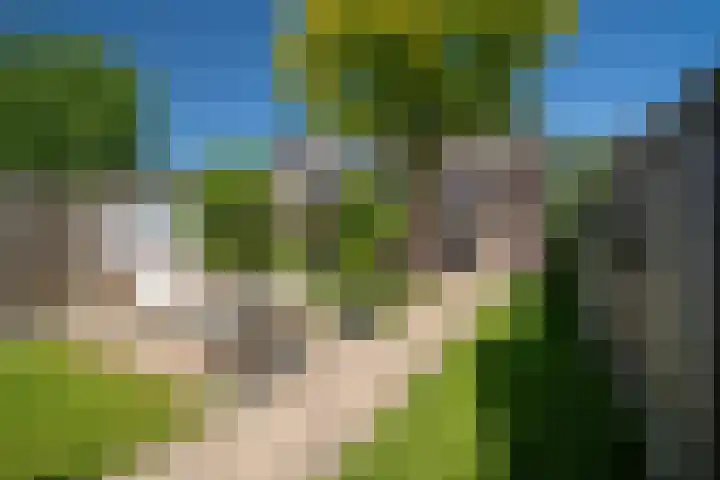Breemarsweg 307 Hengelo thumbnail 4
