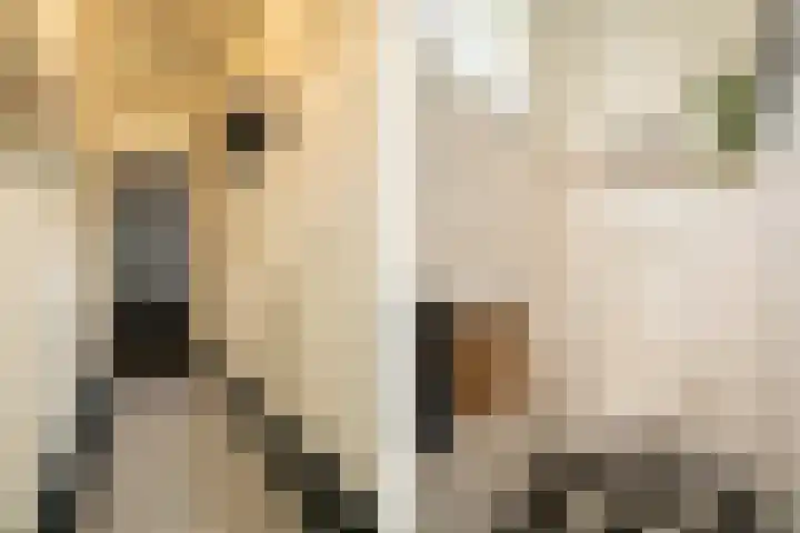 Breemarsweg 307 Hengelo thumbnail 7