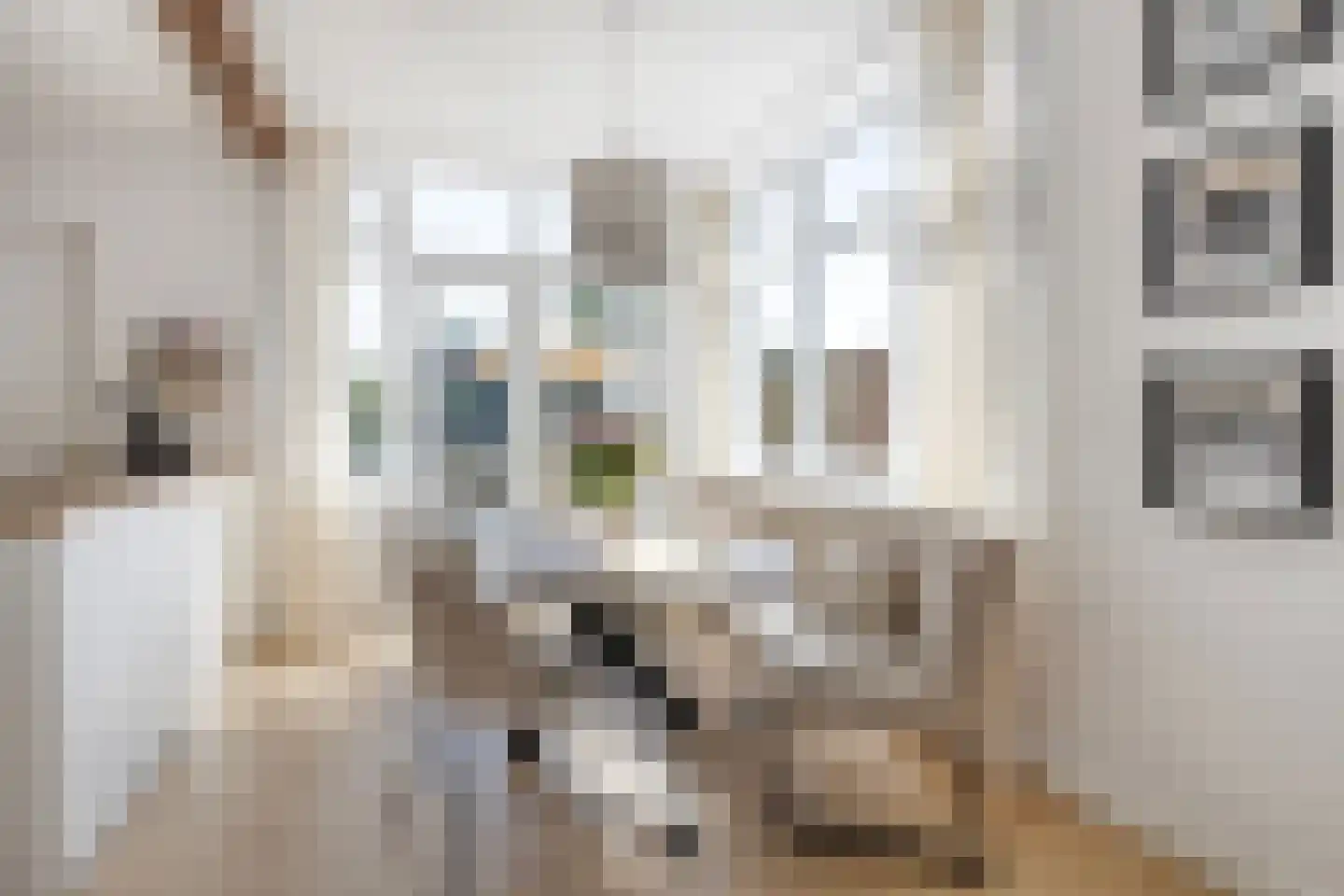 Breemarsweg 319 Hengelo thumbnail 13
