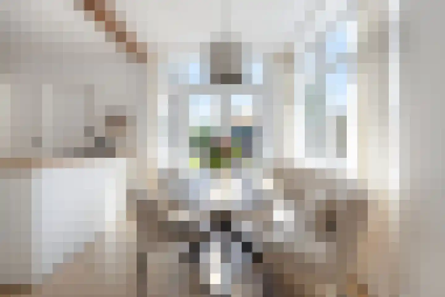 Breemarsweg 319 Hengelo thumbnail 14