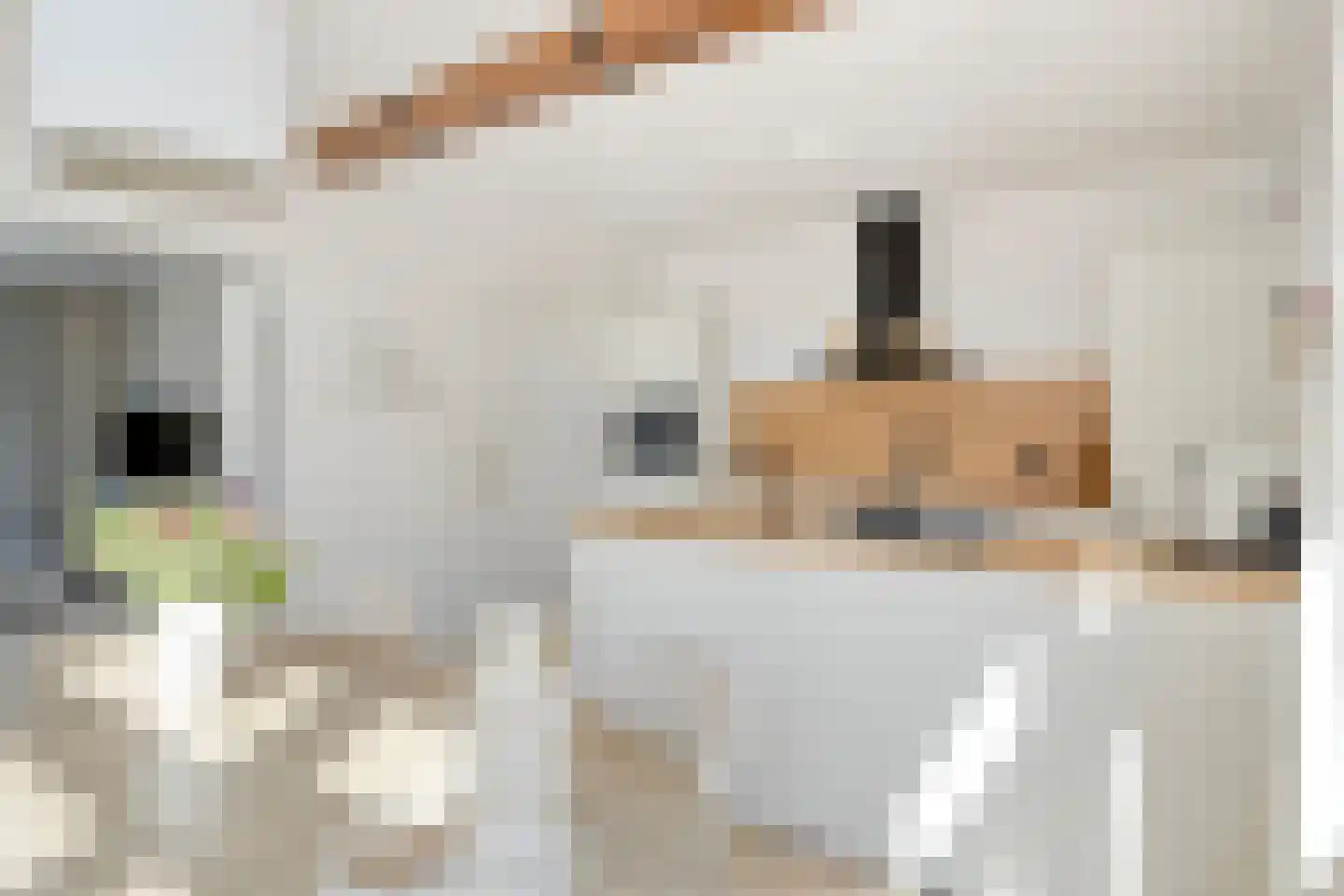 Breemarsweg 319 Hengelo thumbnail 18