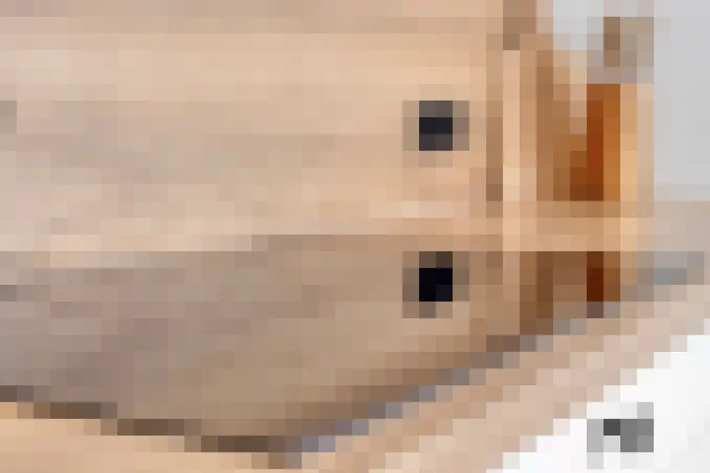 Breemarsweg 319 Hengelo thumbnail 22
