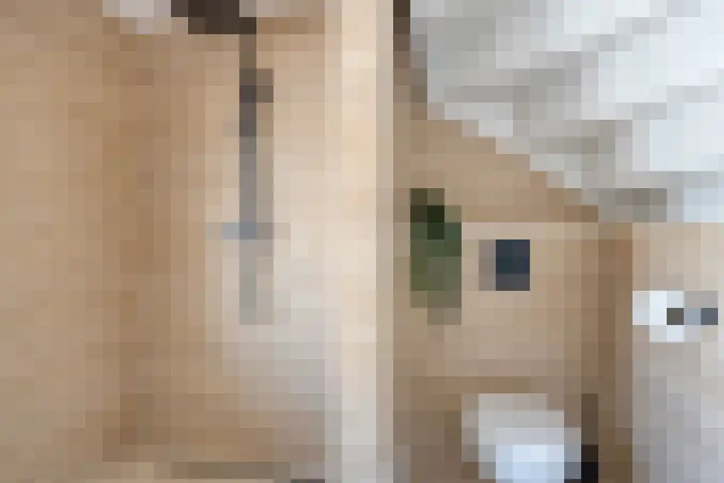 Breemarsweg 319 Hengelo thumbnail 37