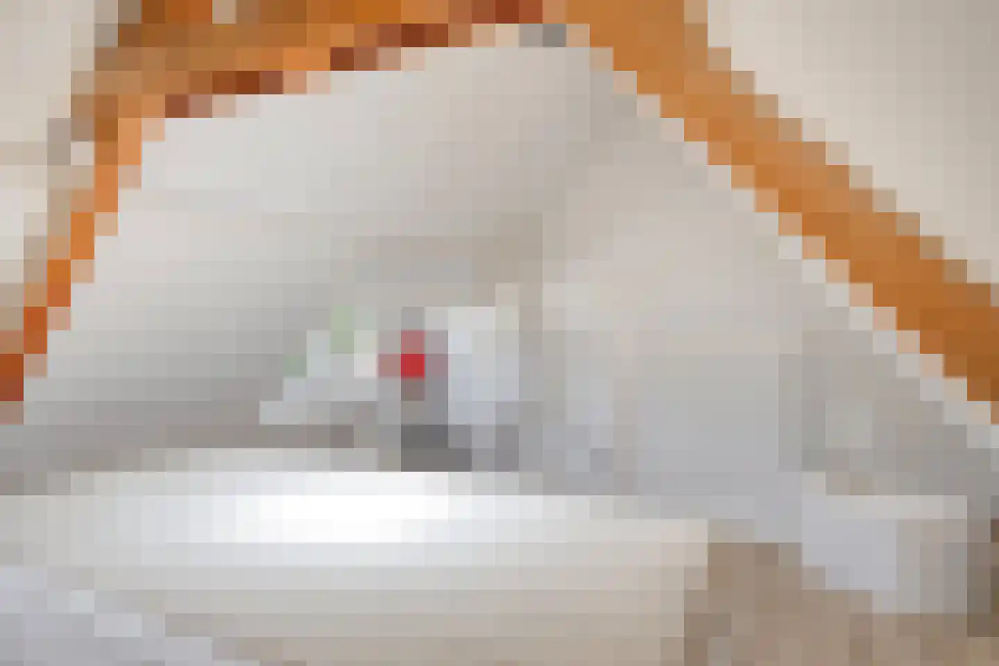 Breemarsweg 319 Hengelo thumbnail 42