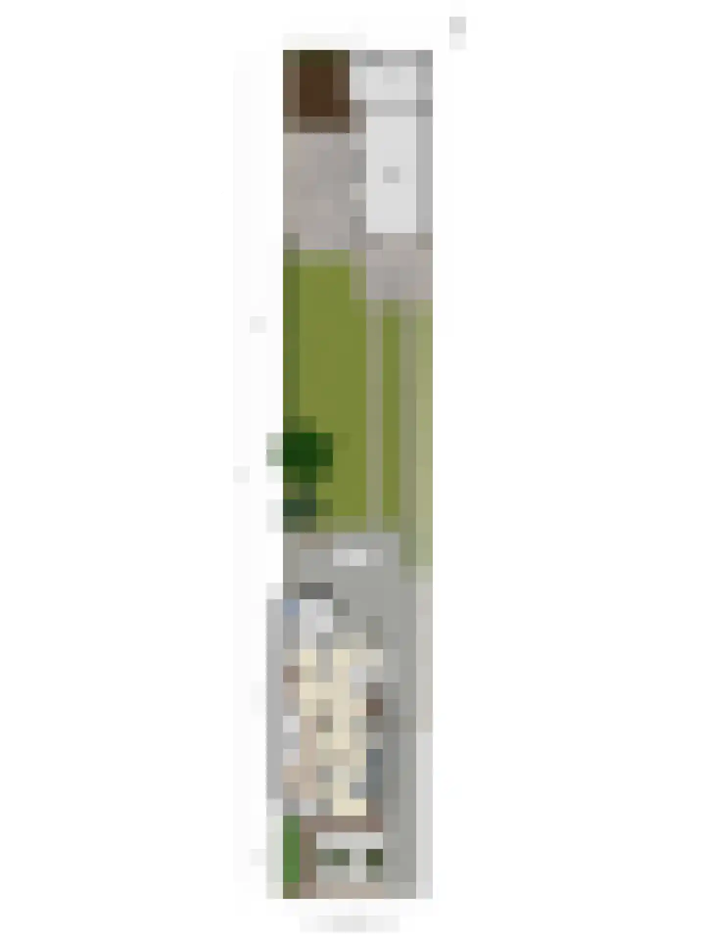 Breemarsweg 319 Hengelo thumbnail 59